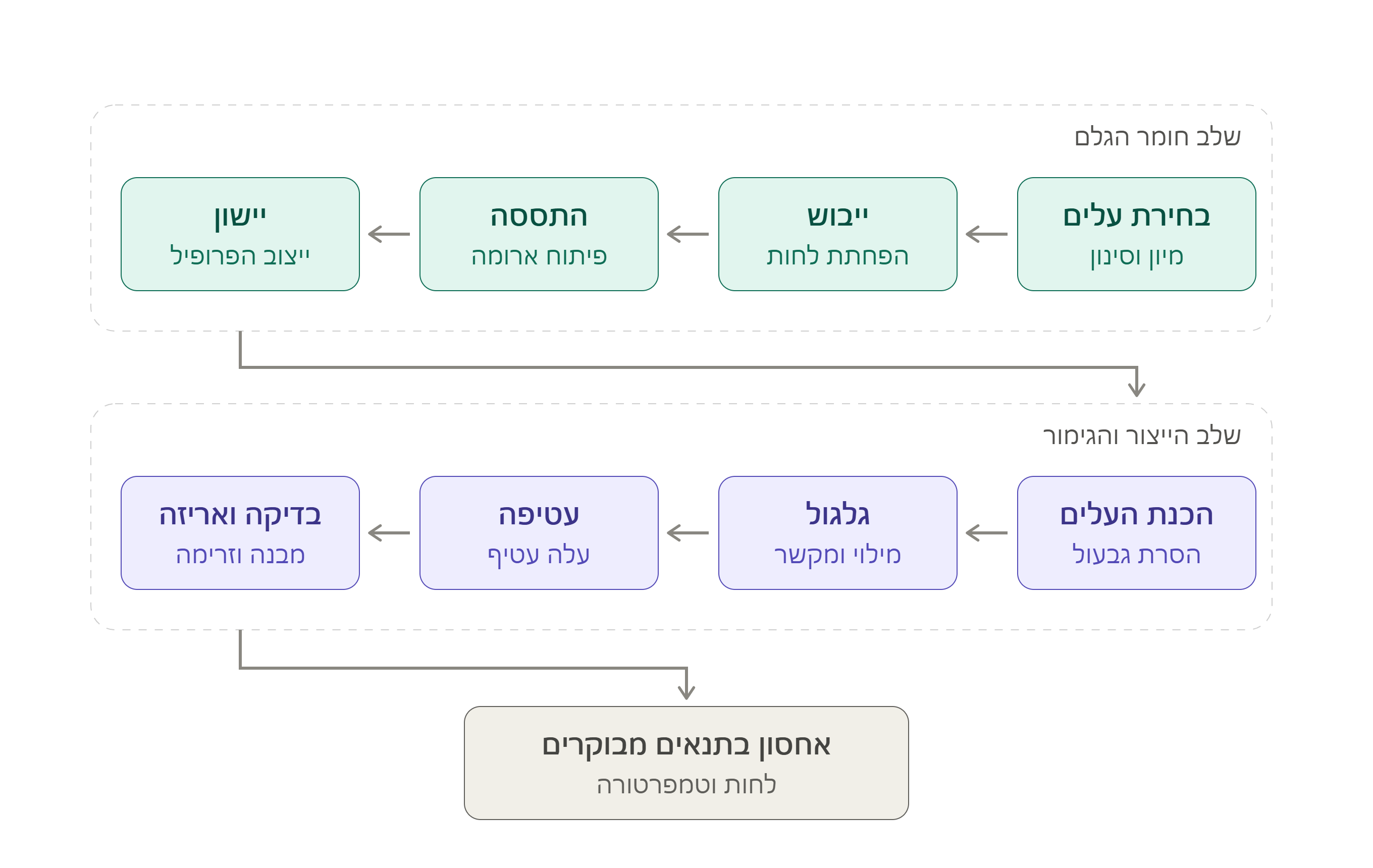 תהליך ייצור סיגרים אינפוגרפיקה
